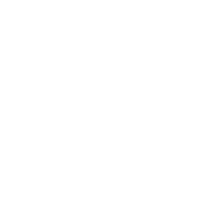 white_logo_transparent